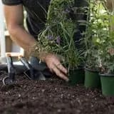 بلچه فیسکارس سالید/ FISKARS Solid