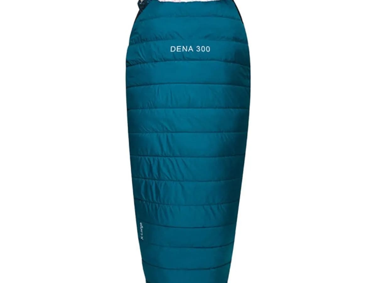 DENA 300