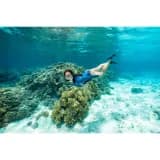 dalis-paleti-siyah-ff-100-soft (8)