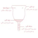 ساختار کاپ قاعدگی لیوا شامل لبه، سوراخ هوا، پایه و دنباله