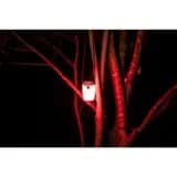 kamp-lambasi-100-lumen-kirmizi-bl100 (11)