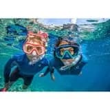 yetiskin-snorkelle-dalis-maskesi-bordo-520 (1)