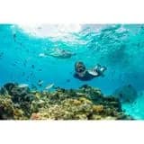 yetiskin-snorkelle-dalis-maskesi-gri-yesil-520 (9)