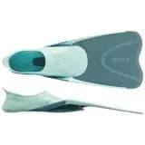 yetiskin-snorkelle-dalis-paleti-mint-yesili-500 (1)